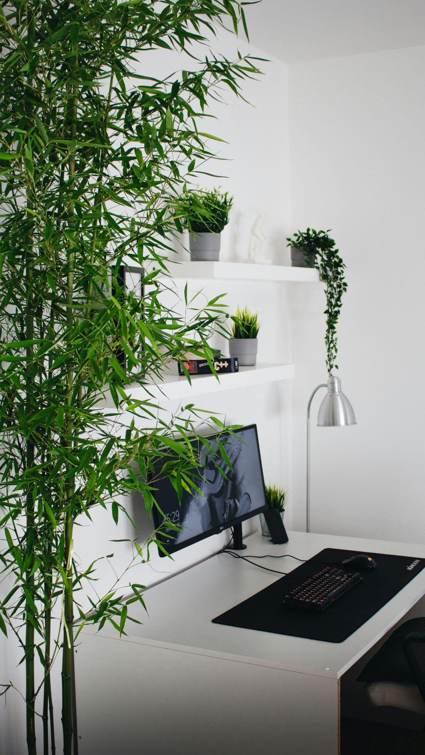 Le nouvel essentiel du quotidien connecte Modalova scaled