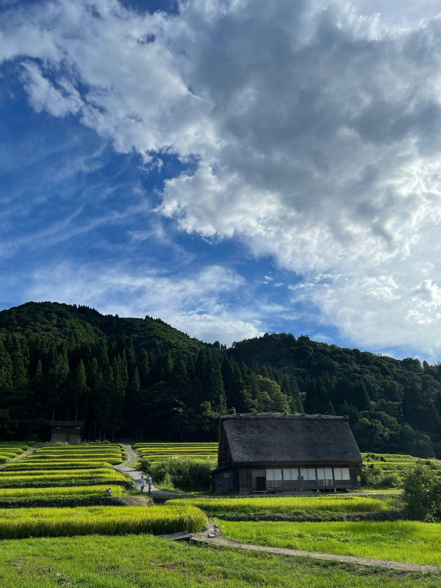 Ces lieux secrets où le luxe voyage incognito 6 Le Kansai rural Japon — lart du silence maitrise Ces lieux secrets ou le luxe voyage incognito Modalova